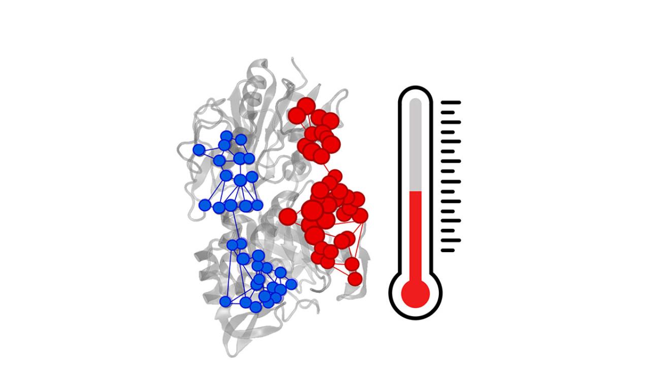 Heat Unveils Path to Drug Design