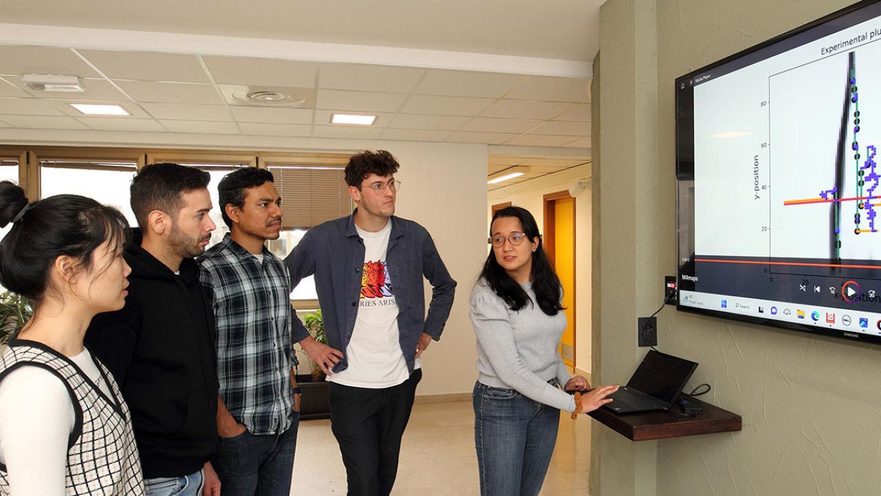 ICTP Postdoctoral Fellowship on Neural Networks    