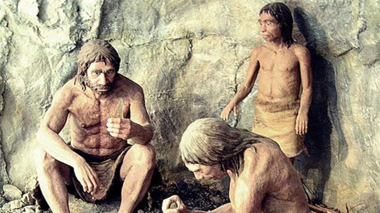 Neanderthal Mystery