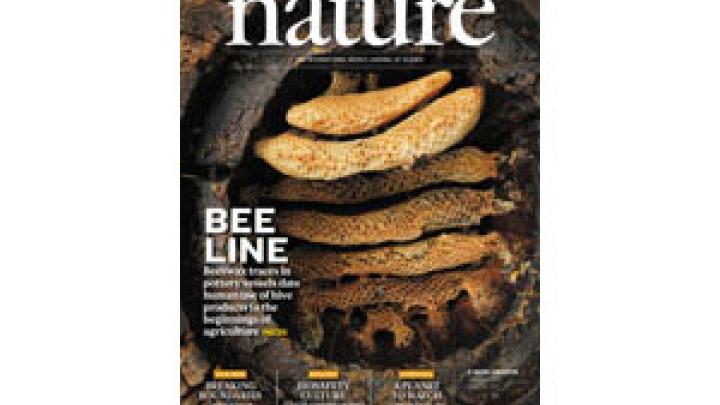 ICTP publishes article in Nature magazine