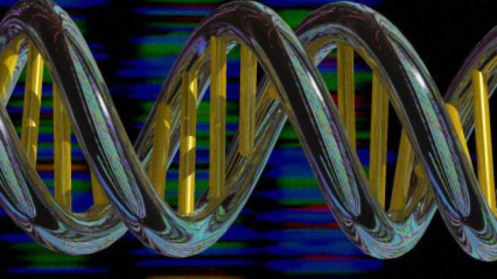 DNA double helix and sequencing output, Credit Peter Artymiuk, Wellcome Images 