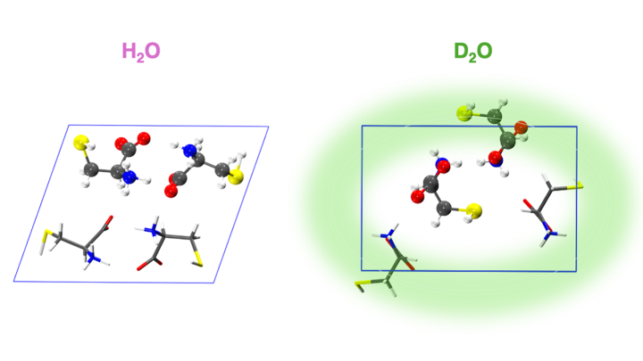 Crystallization of  cysteine amino acid in D2O generates a remarkably different structure compared to H2O. The crystals formed in D2O display enhanced intrinsic fluorescence.