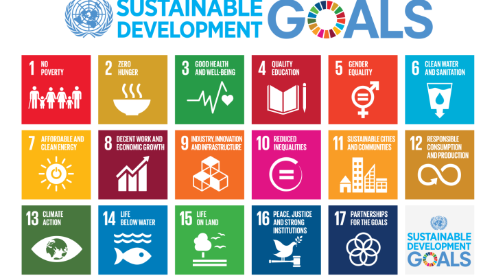 sdg