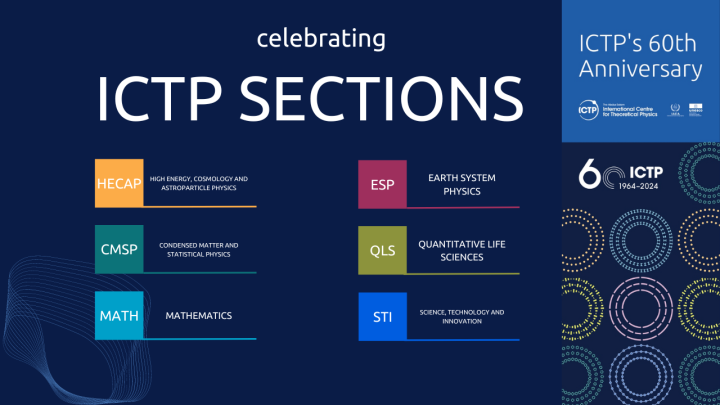 Celebrating ICTP Sections
