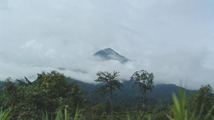 Mt. Cameroon. Photo by Normand Roy - Own work, CC BY 2.5