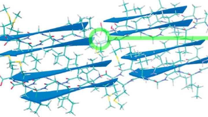 Where Physical Chemistry Meets Biology