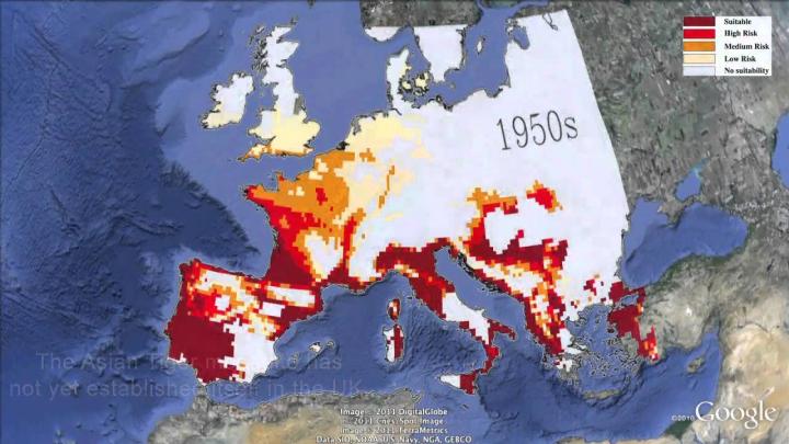 Embedded thumbnail for The Asian Tiger mosquito: climate controls in Europe