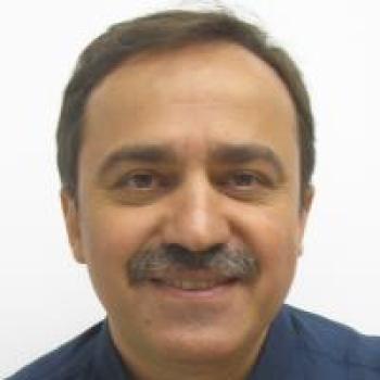 Mohammad Reza Ejtehadi profile picture